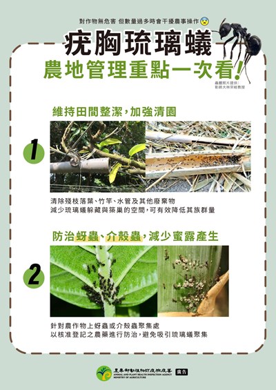 農業部防治疣胸琉璃蟻文宣